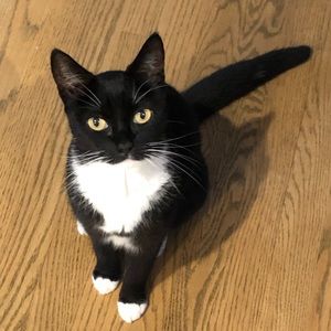 Meet your Posher, Kimberly